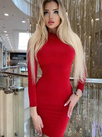 Long Sleeve Slim Bodycon Mini Dress Women Turtleneck Pleated Party Ruched